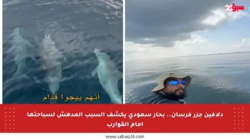 دلافين جزر فرسان.. بحار سعودي يكشف السبب المدهش لسباحتها أمام القوارب